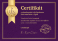 /album/fotogalerie-sonia/certifikat-rok-tanecnice-sonia-png/